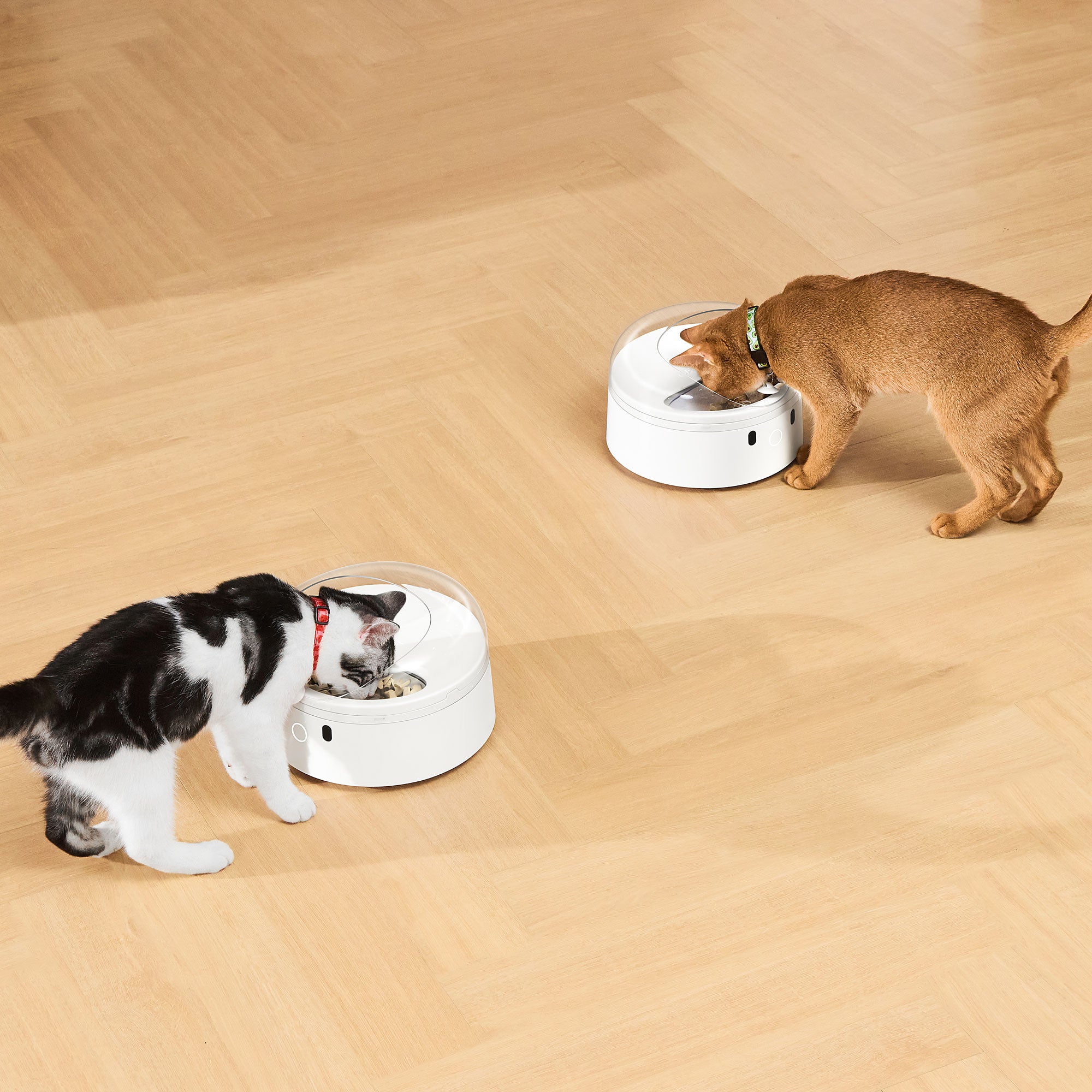CATLINK RFID Pet Feeder Standard Double Set