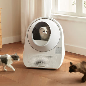 CATLINK Self-Cleaning Litter Box - Scooper Luxury Pro-X and Odor Eliminator Set