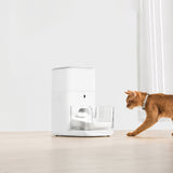 CATLINK Automatic Feeder Fresh 2