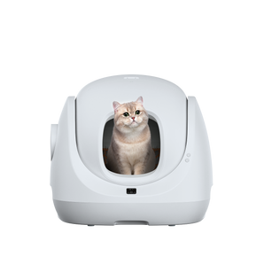 CATLINK Smart Litter Box - Scooper SE Lite