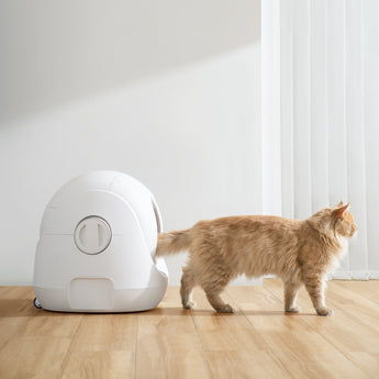 Igloo litter tray clearance liners