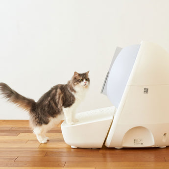 CATLINK Self Cleaning Litter Box Scooper Luxury Pro-X Stair Set - Litter Box and Stair