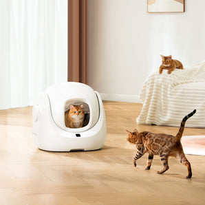 CATLINK Smart Litter Box - Scooper SE Double Set