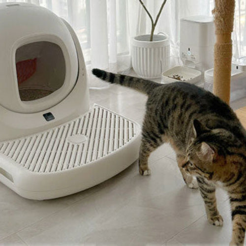 Loved by Cat Parents