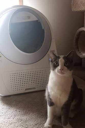 Loved by Cat Parents