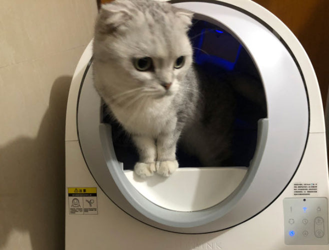 Loved by Cat Parents