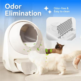Litter-Robot Buy HHOlove Automatic Cat Litter Box, Self Cleaning