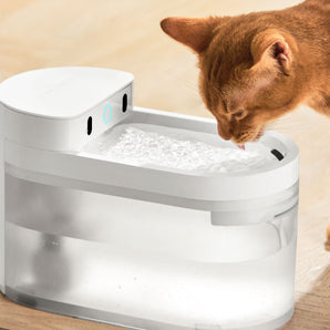 CATLINK AI Water Fountain