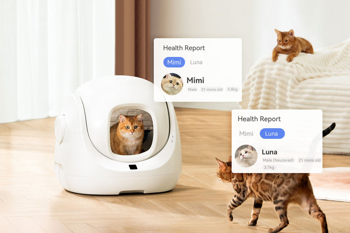 Self Cleaning Smart Scoop Litter Box Pet Supplies Smart Scoop