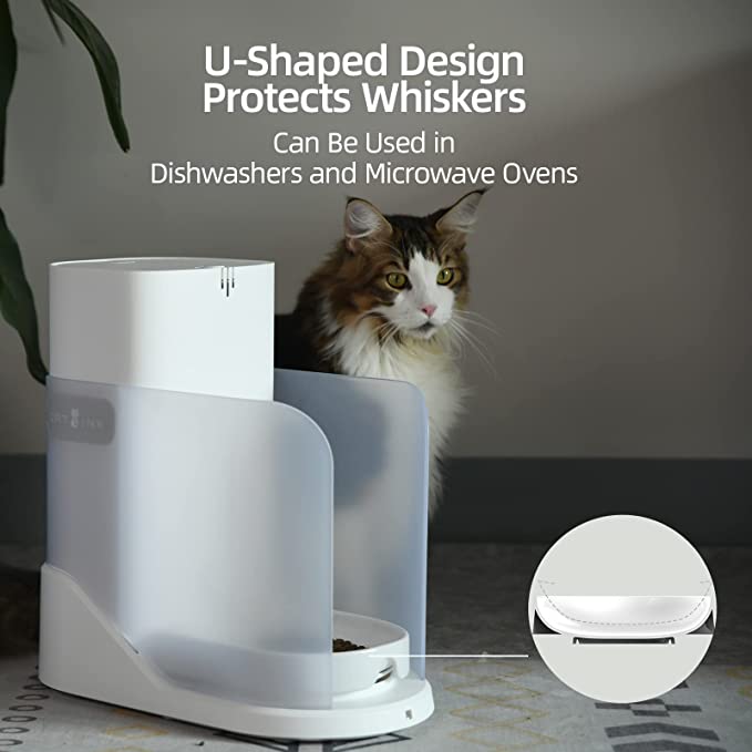 CATLINK AI Feeder Young for Single Cat