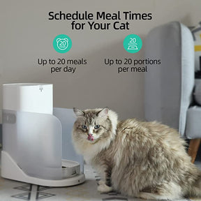 CATLINK AI Feeder Young for Single Cat